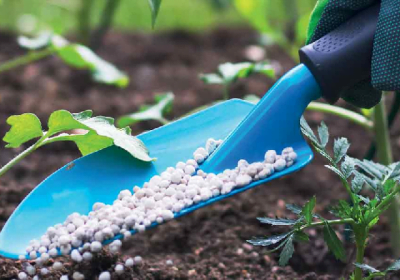  HOW TO USE LIQUID LIME FERTILIZER FOR PLANTING 