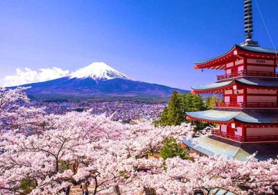 Discover the Beauty of Cherry Blossoms in Japan with the Ultimate Tour Guide